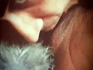 Molhado e selvagem: Um vídeo caseiro de uma puta lambendo e beijando
